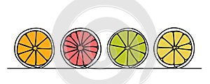 continuous line Fresh fruit orange slices, halved (orange, pink grapefruit, lemon, lime