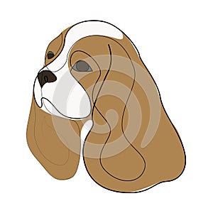 Continuous line King Charles Cavalier. Single line minimal style King Charles Spaniel dog vector illustration. Portrait