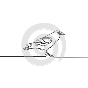 Continuous line Raven isolated on white background. Vector illustration.