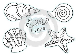 Continuous one line art drawing sea shells starfish