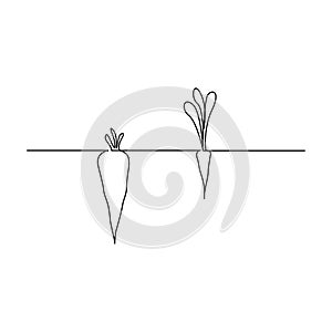 Continuous one line carrot in ground . Two carrots with a large and small shoot. Appearances are deceptive. Vector