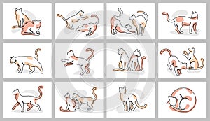 Continuous one line cat posters. Cute cats playing, grooming, stretching and lounging. Minimal feline and kittens for