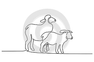 Continuous one line draw Sheep minimalistic style