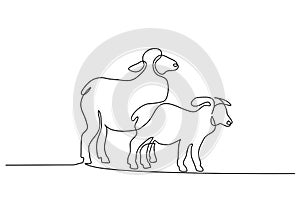 Continuous one line draw Sheep minimalistic style photo