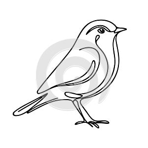 Continuous one line drawing bird. Minimalist bird, outline design photo