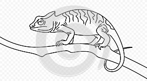 Continuous one line drawing of chameleon crawling along a tree branch vector design