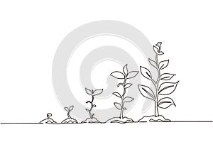Continuous one line drawing infographic of planting tree. Seeds sprout in ground. Seedling gardening plant. Sprouts, plants, trees
