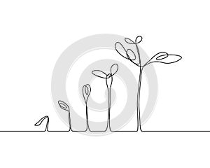 Continuous one line drawing Plant growth process. Vector illustration