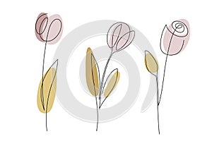 Continuous one line drawing roses. Farmer market Logo concept. Abstract hand drawn flowers by one line. Minimalist black