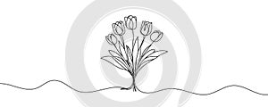Continuous one line drawing tulips. Spring concept. Single line draw design vector illustration.