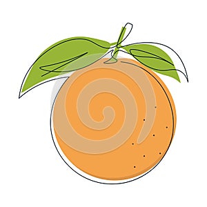 Continuous single line drawing of citrus fruit with orange color