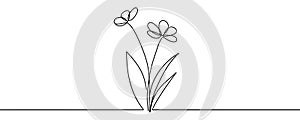 continuous single line drawing of wild flower