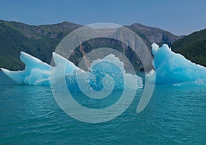 Contorted Shape of an Iceberg in Tracy Arm Fjord
