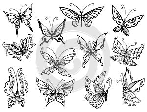 Contour drawings of various decorative fantasy butterflies