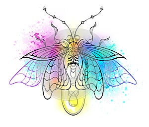 Contour firefly on watercolor background