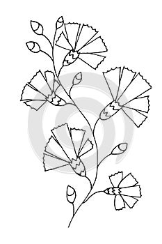 Contour Flower