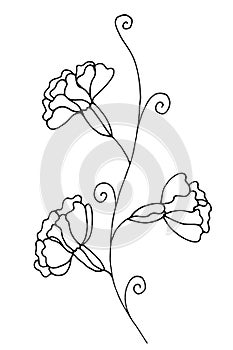 Contour Flower