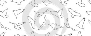 Contour of flying birds, isolated. Seamless pattern. Vector illustration