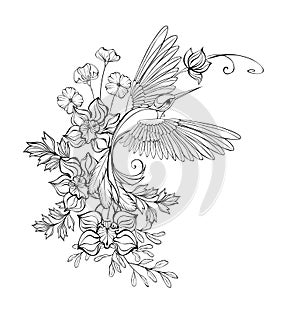 Contour hummingbird with orchids on white background