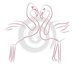Contour illustration of two lovers flamingos.