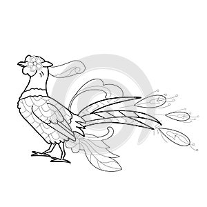 Contour linear illustration with bird for coloring book. Cute pheasant, anti stress picture. Line art design for adult or kids  in