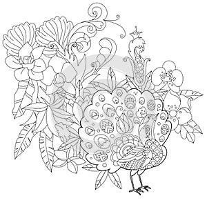 Contour linear illustration for coloring book with paradise bird in flowers. Tropic peacock,  anti stress picture. Line art design