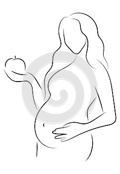 Contour of pregnant woman. Outlines of the body of a pregnant girl. Black and white vector illustration. Linear