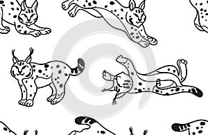Contour seamless pattern with wildcat lynx in cartoon style. Vector illustration