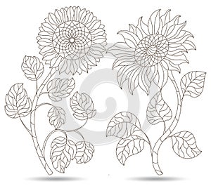 Contour set with  illustrations in stained glass style with sunflower flowers, dark outlines isolated on a white background