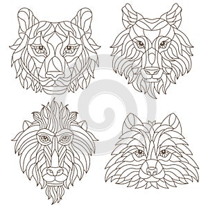 Contour set with illustrations of stained glass Windows with animal heads, tiger, wolf, monkey and raccoon