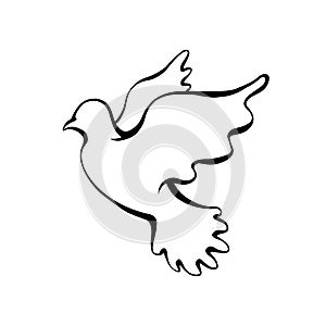 Contour silhouette of a flying dove on a white background. Religious symbol. Outline illustration