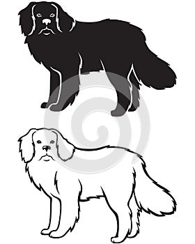 Contour and silhouette of Newfoundland dog