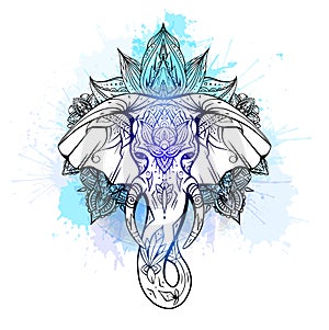 Contoured native elephant head with trunk, tusks and boho ornaments on blue watercolor splashes. Ganesha head with mandala. Vector