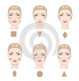 Contouring the face. Vector