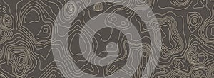 Contours vector topography. Geographic mountain topography vector illustration. Topographic pattern texture. Elevation