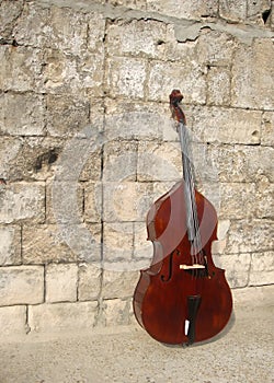 Contrabass