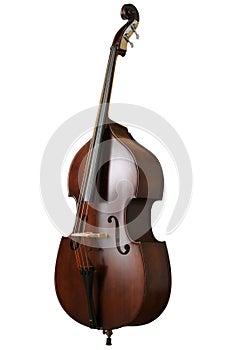 Contrabass