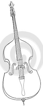 Contrabass