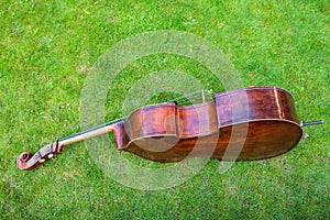 Contrabass on a background of green grass. The musical instrument consists of a soundboard with two holes