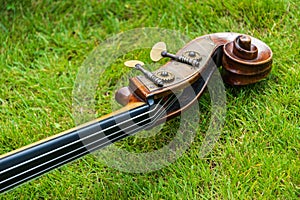 Contrabass on a background of green grass. The musical instrument consists of a soundboard with two holes