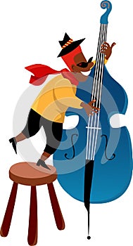 Contrabass player photo
