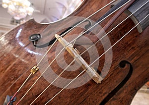 Contrabass on stage in front of an empty hall