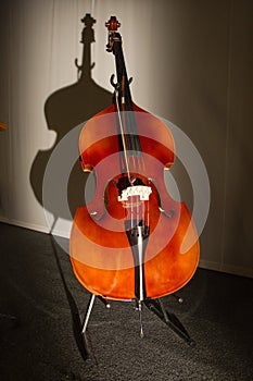 Contrabass on stage