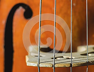 Contrabass strings
