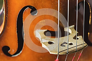 Contrabass strings