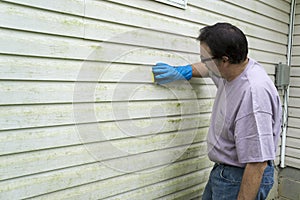 Contractor Removing Algae And Mold From Vinyl Siding