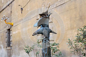 Contrada of Aquila, eagle  in Siena - Italy photo