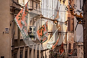 Contrade flag of the Selva-Rhino city district hanging in a street in downtown Siena