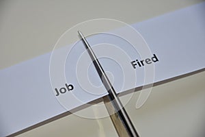 The contradiction between two decisions: Job or Fired