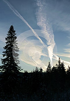 Contrail tracks in the sky